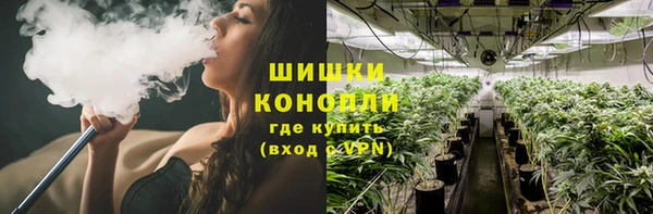 ПСИЛОЦИБИНОВЫЕ ГРИБЫ Балабаново