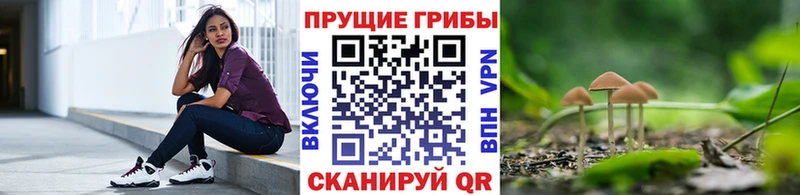 Псилоцибиновые грибы GOLDEN TEACHER  хочу   Заозёрск 